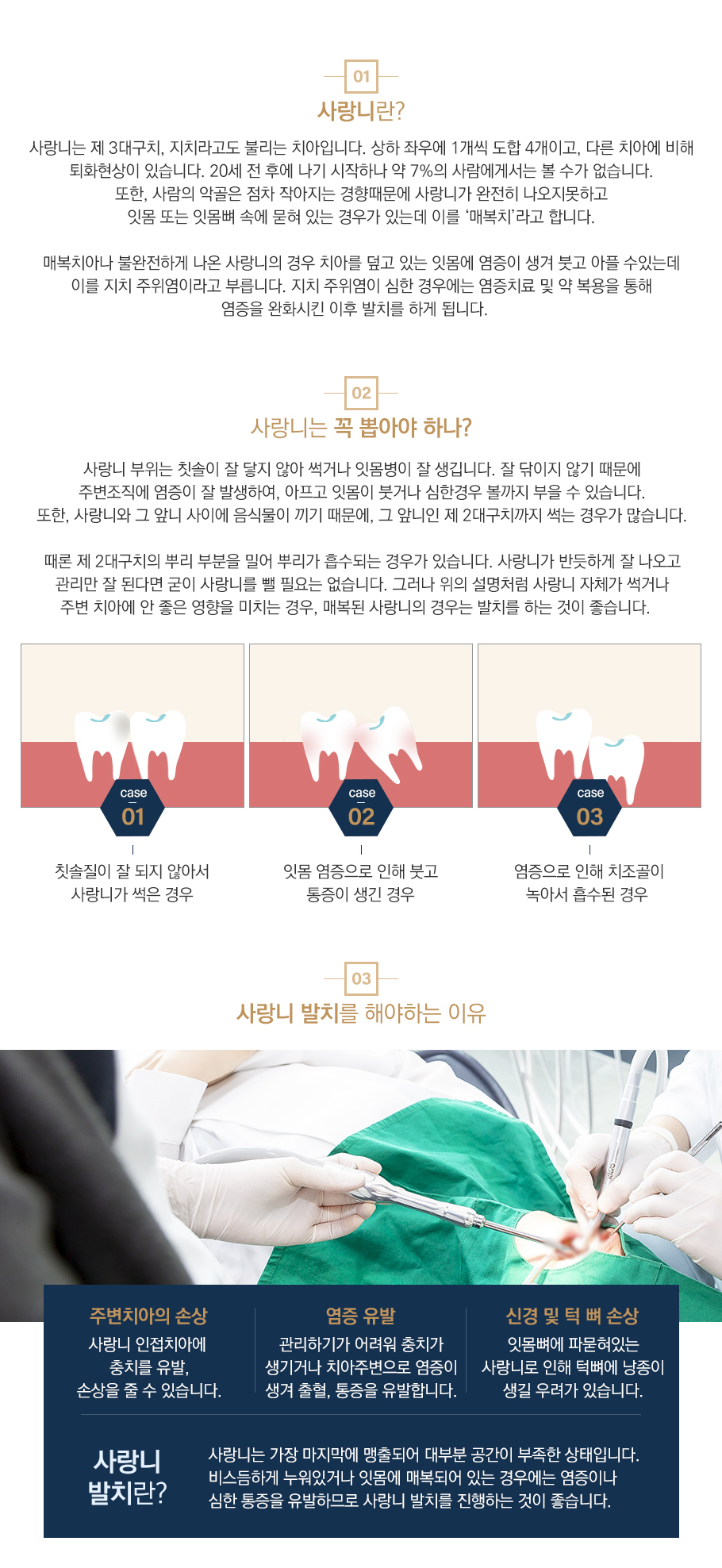 사랑니